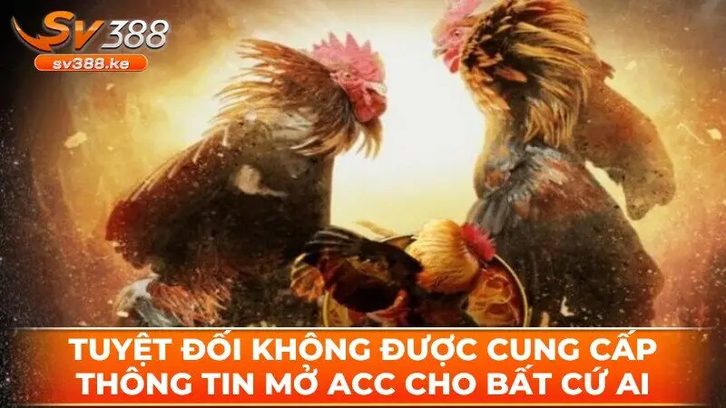 Tuyệt đối game thủ không được cung cấp thông tin mở acc cho bất cứ ai